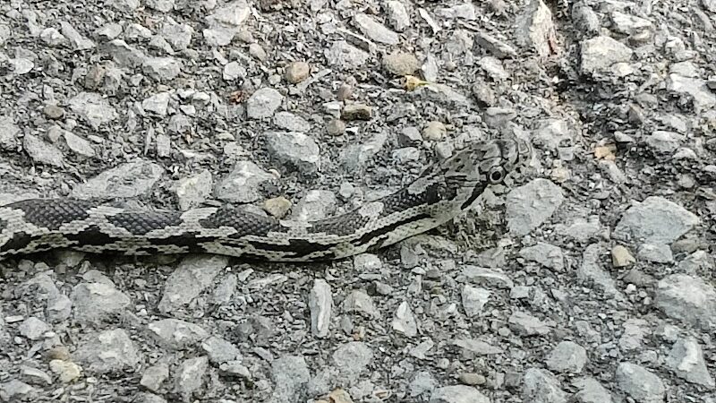 Clear Creek Trail parking at Church Lane - Bloomington, IN