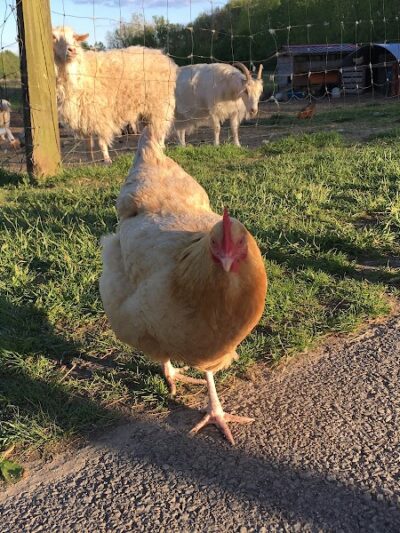 Clear Creek Trail Parking Lot - Bloomington, IN