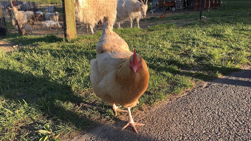 Clear Creek Trail Parking Lot - Bloomington, IN