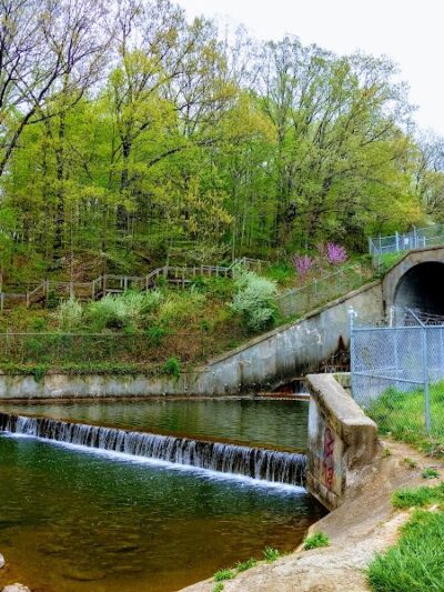 Ferguson Dog Park - Bloomington, IN