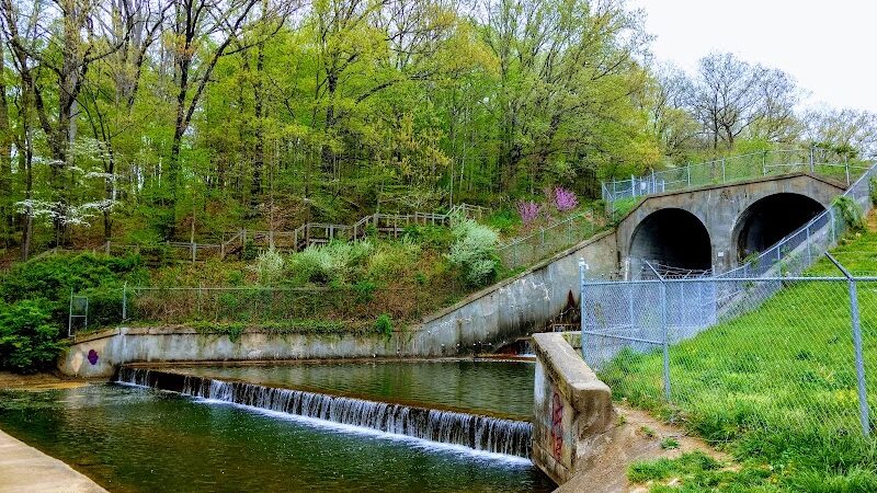 Ferguson Dog Park - Bloomington, IN