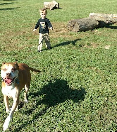 Ferguson Dog Park - Bloomington, IN