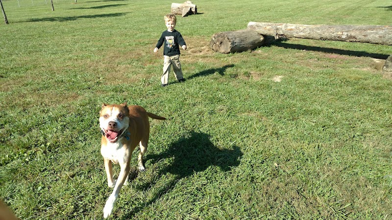Ferguson Dog Park - Bloomington, IN