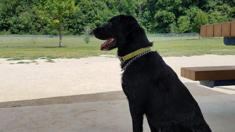 Ferguson Dog Park - Bloomington, IN