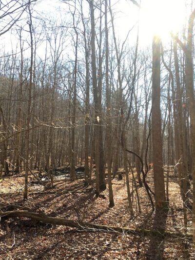 Hays Trail - Bloomington, IN