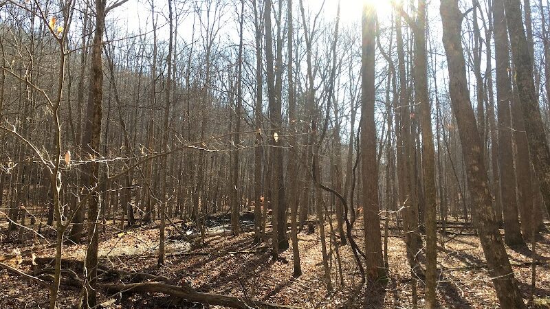 Hays Trail - Bloomington, IN