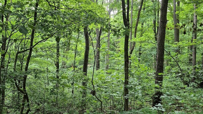 Hays Trail - Bloomington, IN