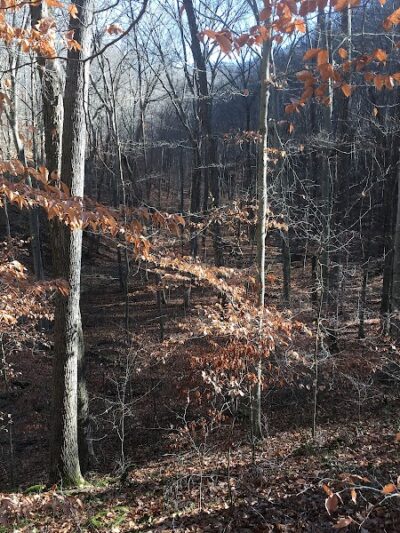 Hays Trail - Bloomington, IN