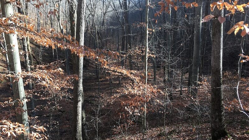 Hays Trail - Bloomington, IN