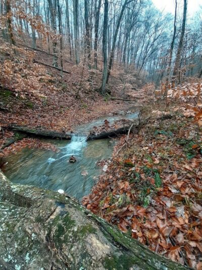 Hays Trail - Bloomington, IN