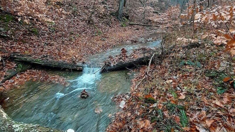 Hays Trail - Bloomington, IN