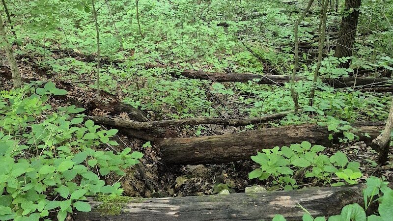 Hays Trail - Bloomington, IN