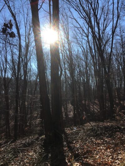 Hays Trail - Bloomington, IN