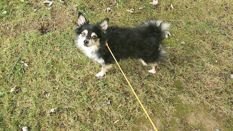 Karst Farm Park - Bloomington, IN