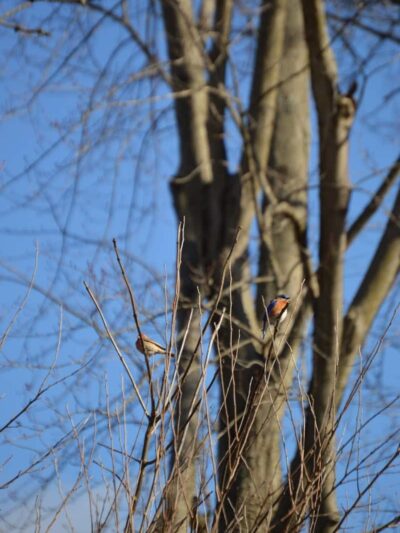 Karst Farm Trail - Bloomington, IN