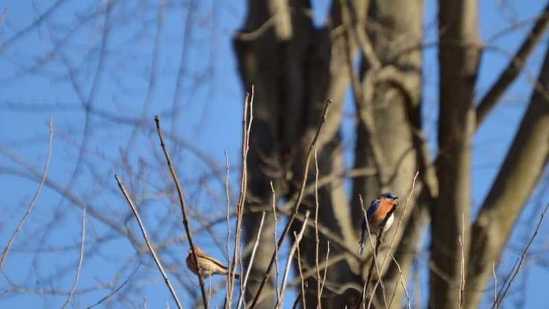 Karst Farm Trail - Bloomington, IN