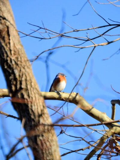 Karst Farm Trail - Bloomington, IN
