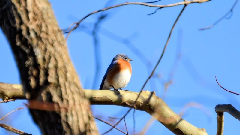 Karst Farm Trail - Bloomington, IN