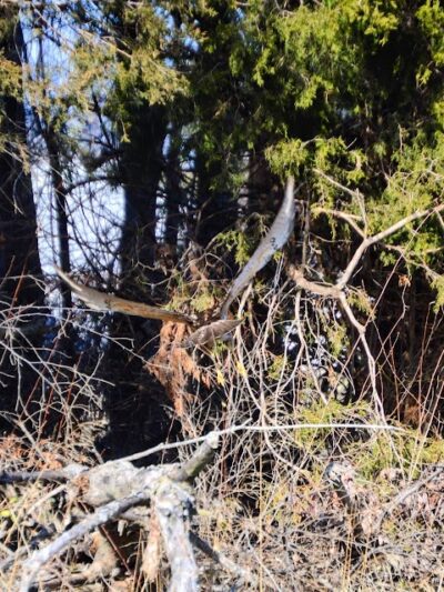 Karst Farm Trail - Bloomington, IN