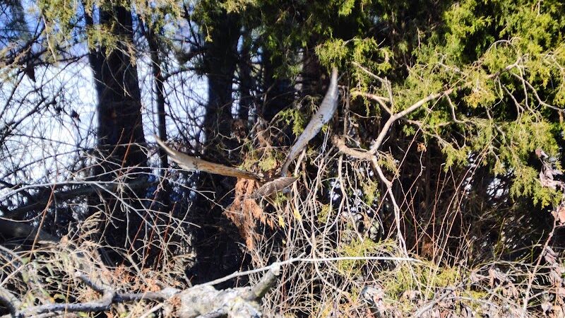 Karst Farm Trail - Bloomington, IN