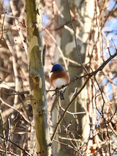 Karst Farm Trail - Bloomington, IN