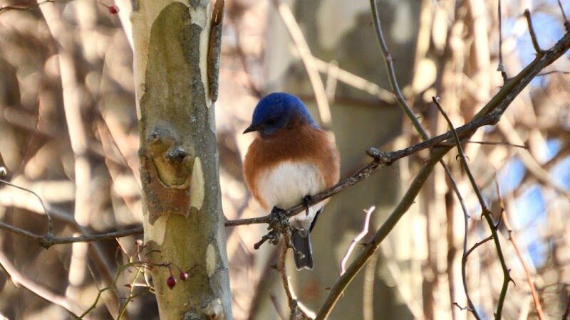 Karst Farm Trail - Bloomington, IN