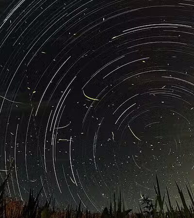 Karst Farm Trail - Bloomington, IN