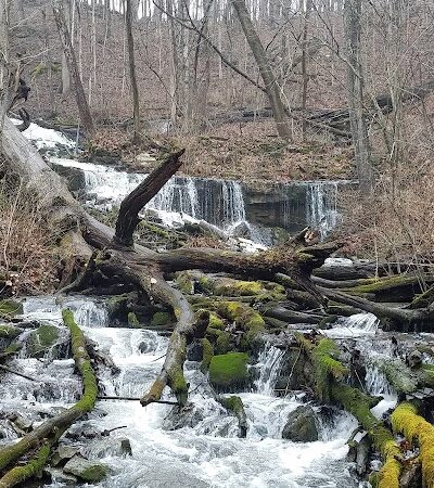 Leonard Springs Nature Park - Bloomington, IN