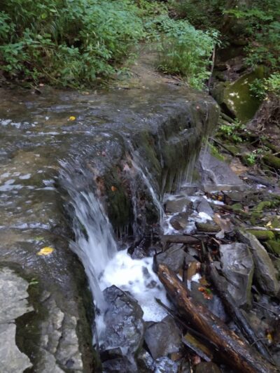 Leonard Springs Nature Park - Bloomington, IN