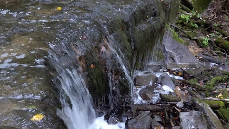 Leonard Springs Nature Park - Bloomington, IN