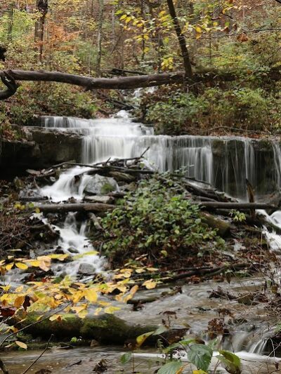 Leonard Springs Nature Park - Bloomington, IN
