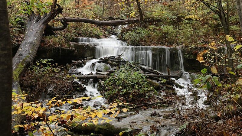 Leonard Springs Nature Park - Bloomington, IN
