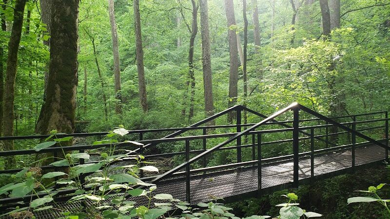 Leonard Springs Nature Park - Bloomington, IN