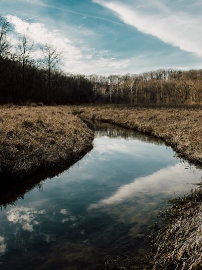 Leonard Springs Nature Park - Bloomington, IN