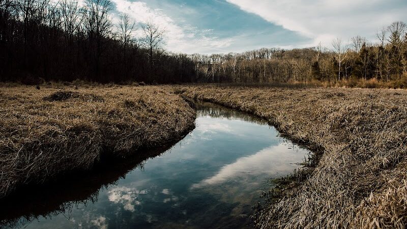 Leonard Springs Nature Park - Bloomington, IN