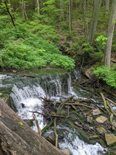 Leonard Springs Nature Park - Bloomington, IN