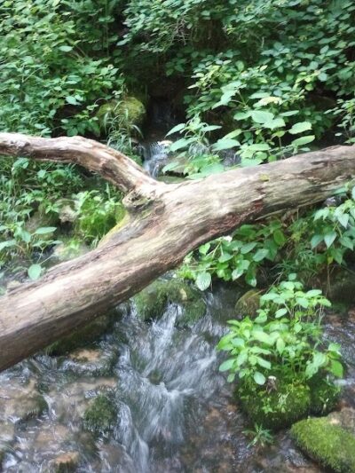 Leonard Springs Nature Park Rest Area - Bloomington, IN