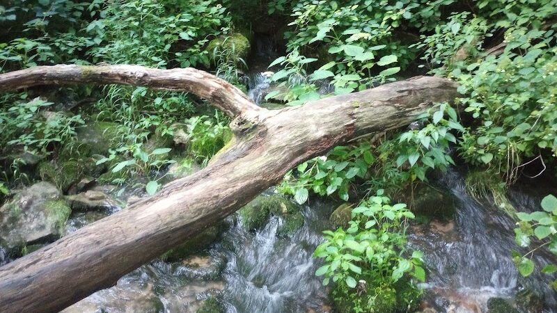 Leonard Springs Nature Park Rest Area - Bloomington, IN