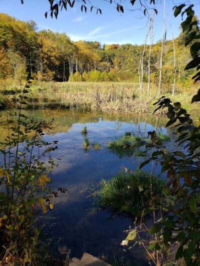 Leonard Springs Nature Park Rest Area - Bloomington, IN