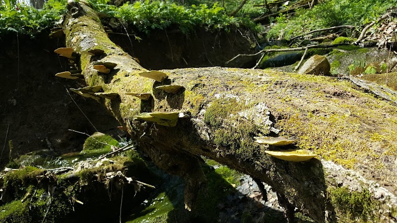 Leonard Springs Nature Park Rest Area - Bloomington, IN