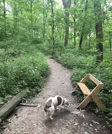 Leonard Springs Nature Park - Bloomington, IN