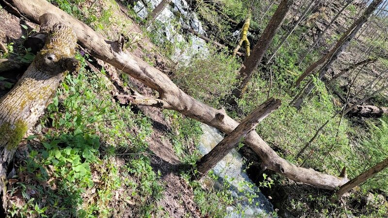 Leonard Springs Nature Trail Parking Lot - Bloomington, IN