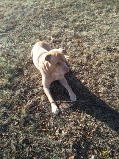 Leonard Springs Nature Trail Parking Lot - Bloomington, IN