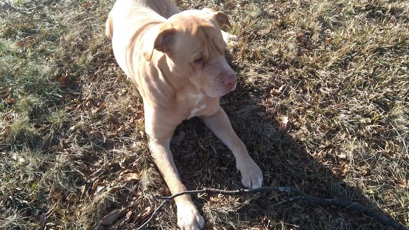 Leonard Springs Nature Trail Parking Lot - Bloomington, IN