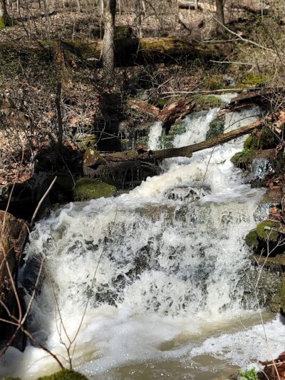 Leonard Springs Nature Trail Parking Lot - Bloomington, IN