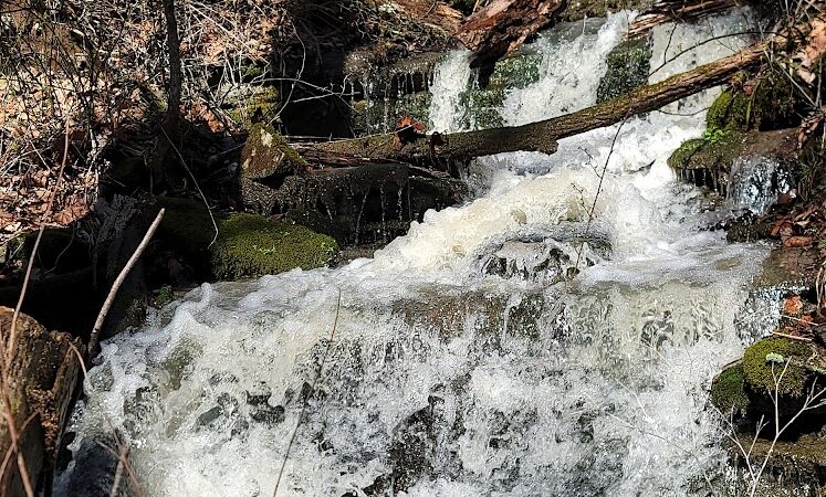 Leonard Springs Nature Trail Parking Lot - Bloomington, IN