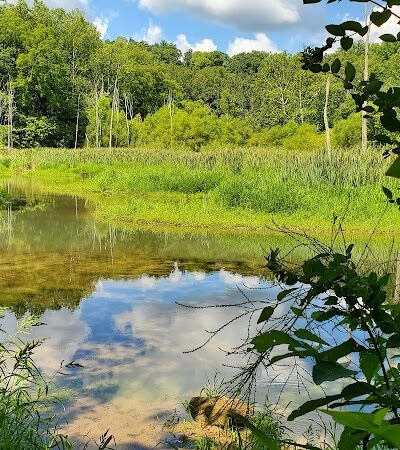 Leonard Springs Nature Trail Parking Lot - Bloomington, IN