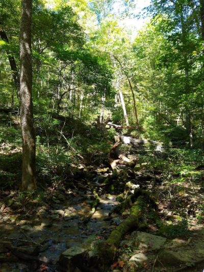 Leonard Springs Nature Trail Parking Lot - Bloomington, IN