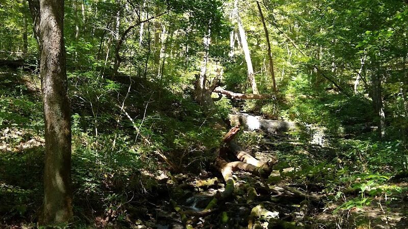 Leonard Springs Nature Trail Parking Lot - Bloomington, IN