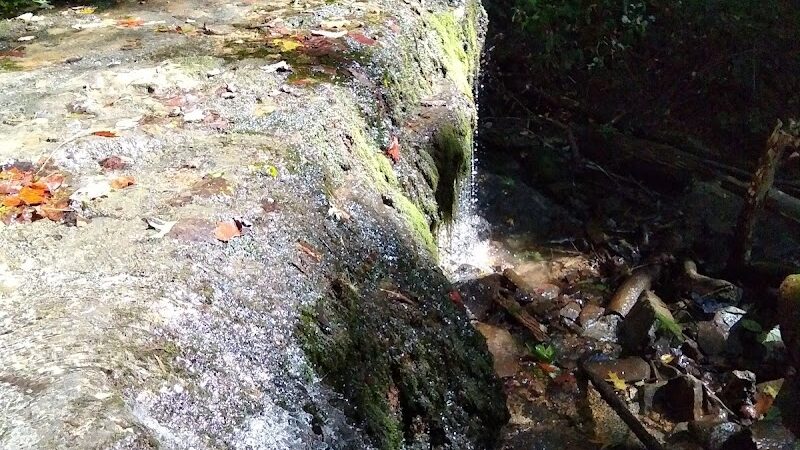 Leonard Springs Nature Trail Parking Lot - Bloomington, IN